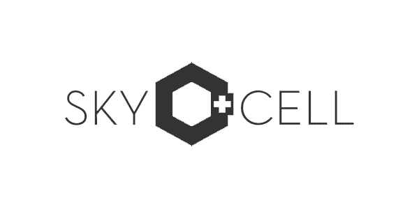 http://www.m-files.com/wp-content/uploads/2023/05/300x600_logo_skycell-1_BW.png