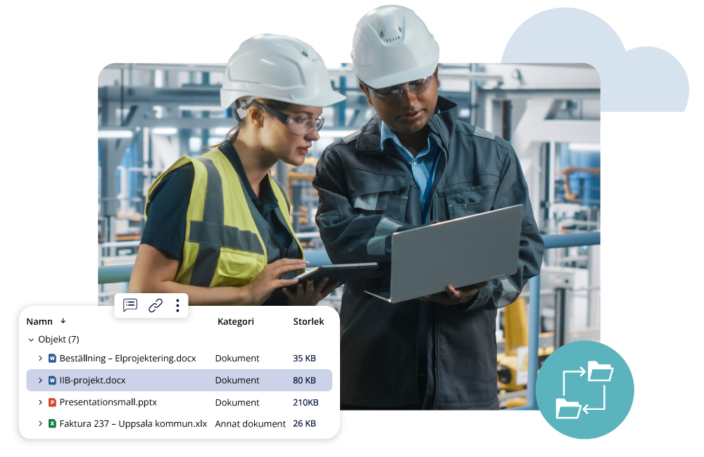 Head-Energy-Image-Swedish-DMS-LP-SW